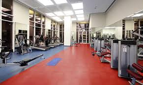 Red Gym Vinyl Flooring